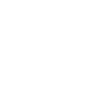 icons8-гарантия-100 (1)